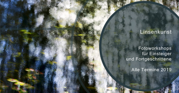 Bernd Donabauer Linsenkunst Termine 2019