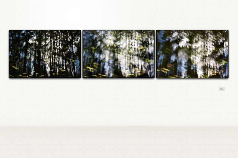 Wind über dem Waldsee