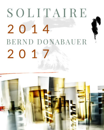 Bernd Donabauer Solitäre 2014 bis 2017